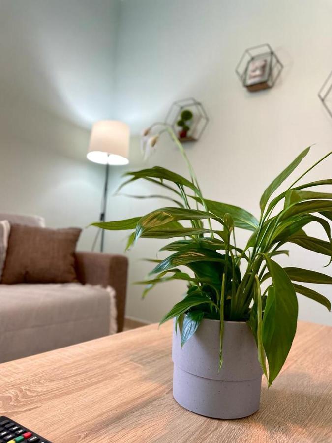 וראסנה The Breeze & Sunlight Apartment מראה חיצוני תמונה
